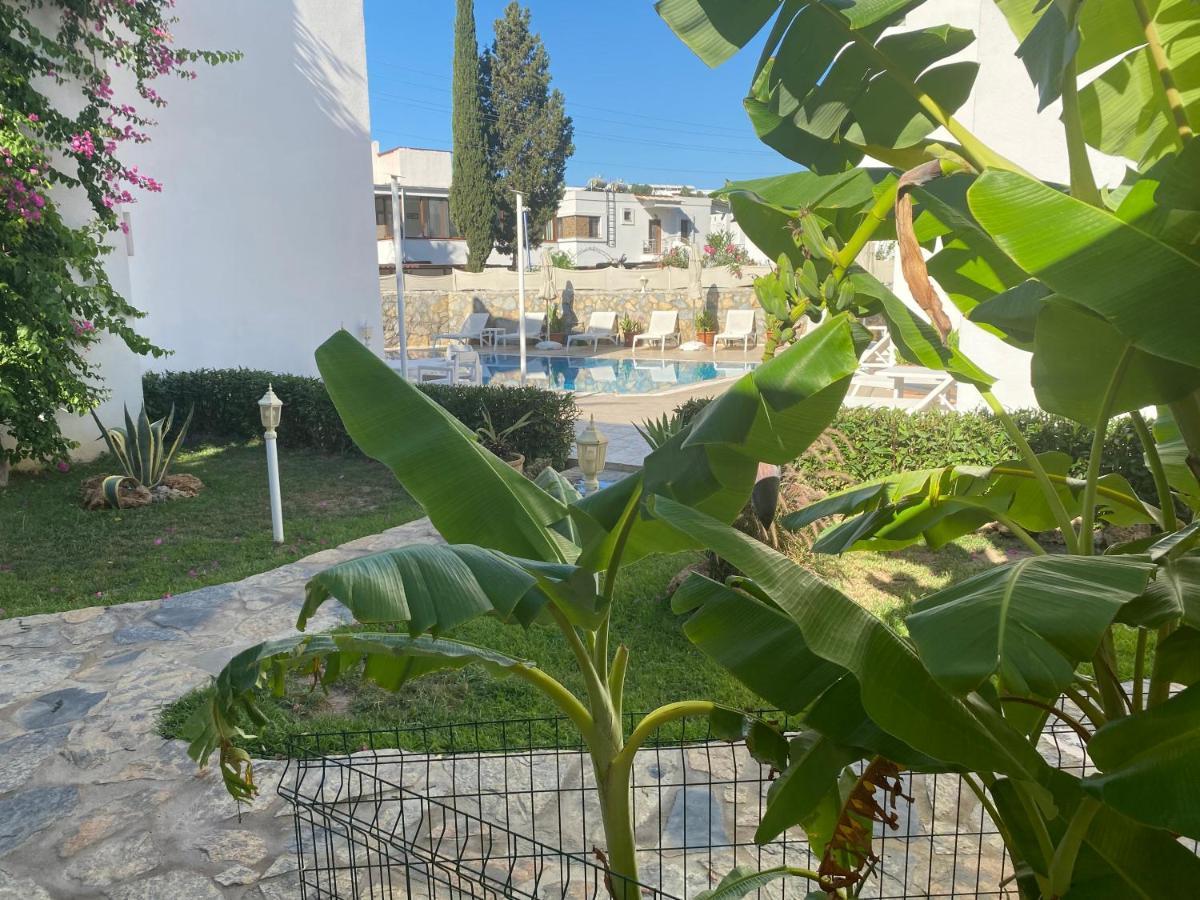 Canna Garden Hotel - Adult Only Gümbet Kültér fotó