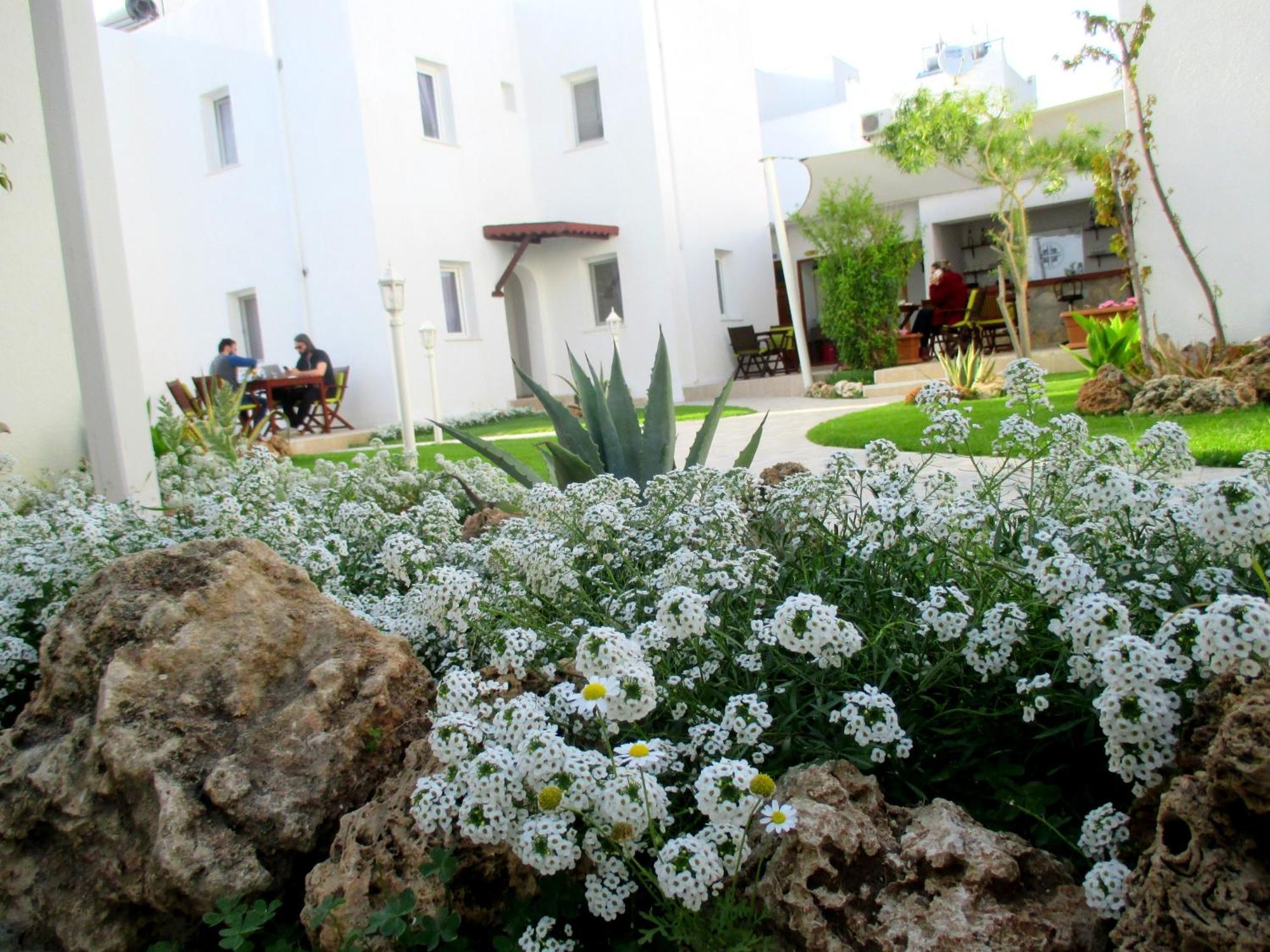 Canna Garden Hotel - Adult Only Gümbet Kültér fotó